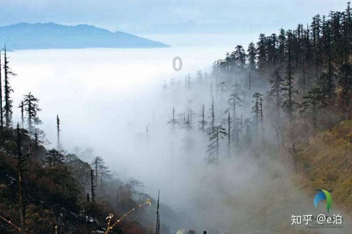 蓝狐视频